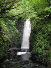 Cranny Waterfalls, accessed via the Waterfall Road, is the first local Nature Reserve.